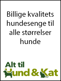 Alt til hund og kat hundesenge